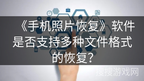 《手机照片恢复》软件是否支持多种文件格式的恢复？