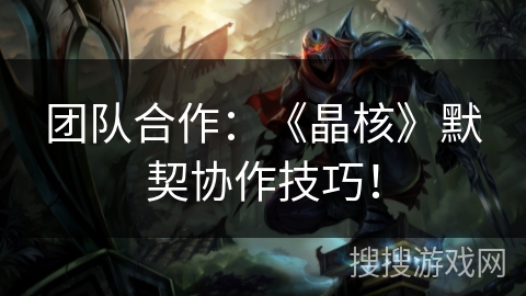 团队合作：《晶核》默契协作技巧！