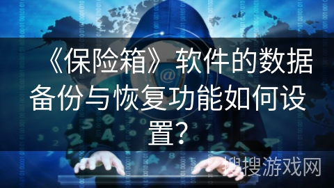 《保险箱》软件的数据备份与恢复功能如何设置？