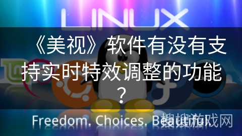 《美视》软件有没有支持实时特效调整的功能？