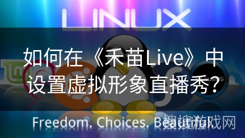 如何在《禾苗Live》中设置虚拟形象直播秀？