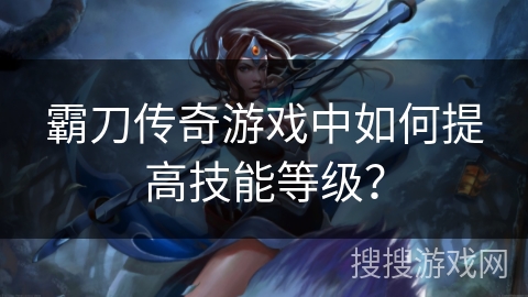 霸刀传奇游戏中如何提高技能等级？