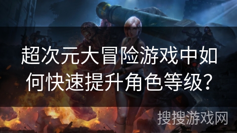 超次元大冒险游戏中如何快速提升角色等级？