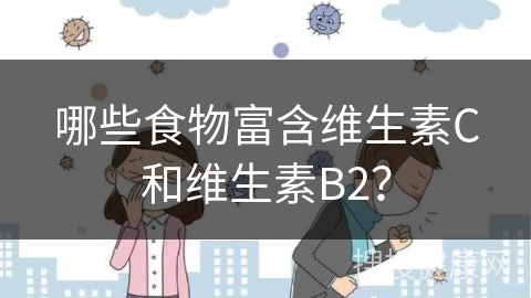 哪些食物富含维生素C和维生素B2？