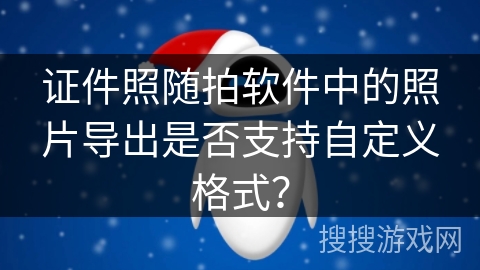 证件照随拍软件中的照片导出是否支持自定义格式？