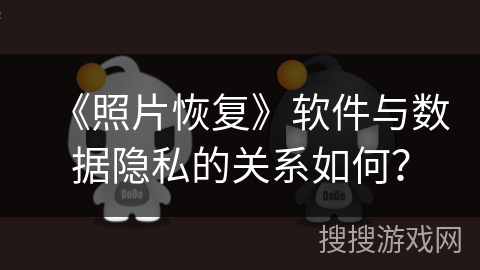 《照片恢复》软件与数据隐私的关系如何？