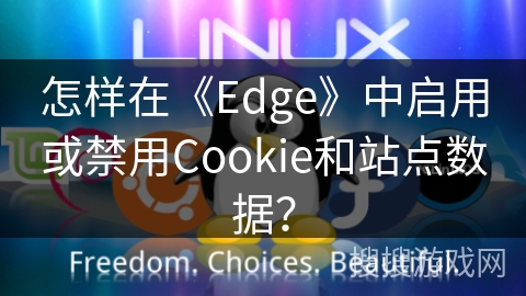 怎样在《Edge》中启用或禁用Cookie和站点数据？