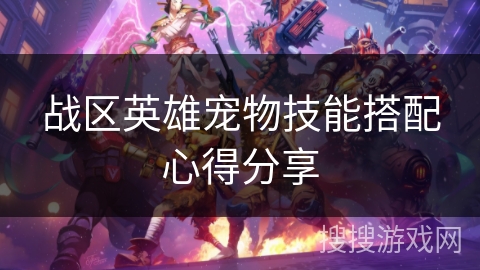 战区英雄宠物技能搭配心得分享