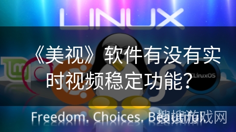 《美视》软件有没有实时视频稳定功能？