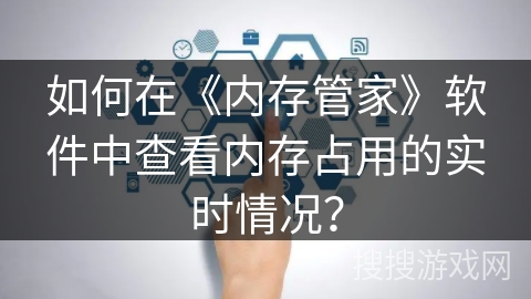 如何在《内存管家》软件中查看内存占用的实时情况? 如何在《内存管家》软件中查看内存占用的实时情况?