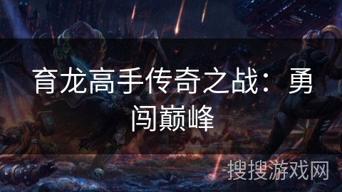 育龙高手传奇之战:勇闯巅峰 育龙高手传奇之战:勇闯巅峰