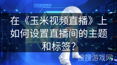 在《玉米视频直播》上如何设置直播间的主题和标签？