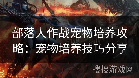 部落大作战宠物培养攻略：宠物培养技巧分享
