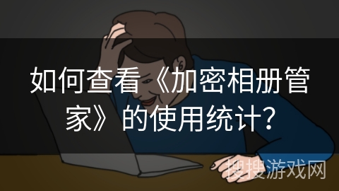 如何查看《加密相册管家》的使用统计？