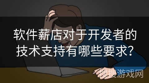 软件薪店对于开发者的技术支持有哪些要求？