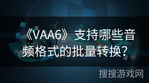 《VAA6》支持哪些音频格式的批量转换？