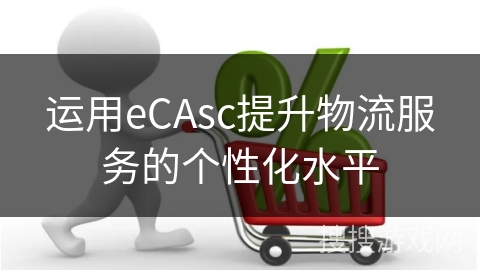 运用eCAsc提升物流服务的个性化水平