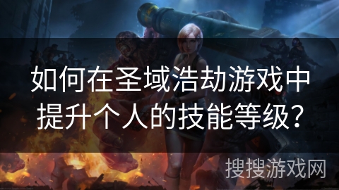 如何在圣域浩劫游戏中提升个人的技能等级？