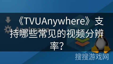《TVUAnywhere》支持哪些常见的视频分辨率? 《TVUAnywhere》支持哪些常见的视频分辨率?