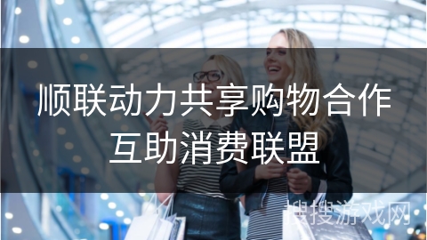 顺联动力共享购物合作互助消费联盟