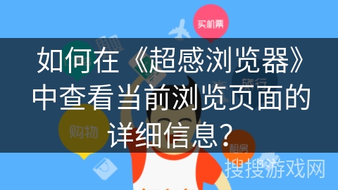如何在《超感浏览器》中查看当前浏览页面的详细信息？