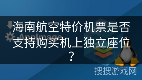 海南航空特价机票是否支持购买机上独立座位？