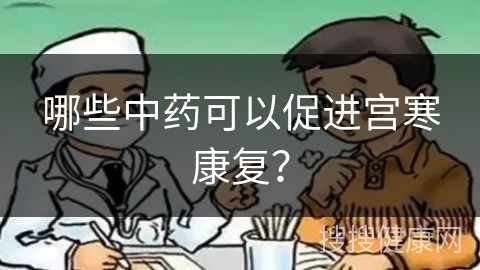 哪些中药可以促进宫寒康复？