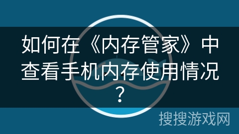 如何在《内存管家》中查看手机内存使用情况？