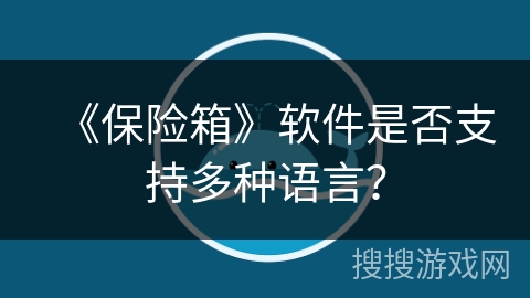 《保险箱》软件是否支持多种语言? 《保险箱》软件是否支持多种语言?