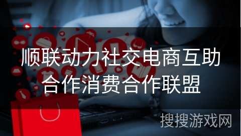顺联动力社交电商互助合作消费合作联盟