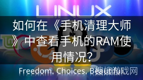 如何在《手机清理大师》中查看手机的RAM使用情况? 如何在《手机清理大师》中查看手机的RAM使用情况?