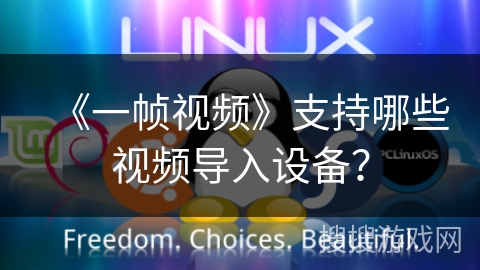 《一帧视频》支持哪些视频导入设备？