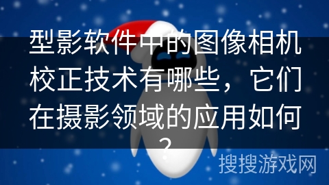 型影软件中的图像相机校正技术有哪些，它们在摄影领域的应用如何？