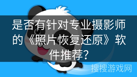 是否有针对专业摄影师的《照片恢复还原》软件推荐？