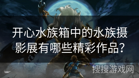 开心水族箱中的水族摄影展有哪些精彩作品？