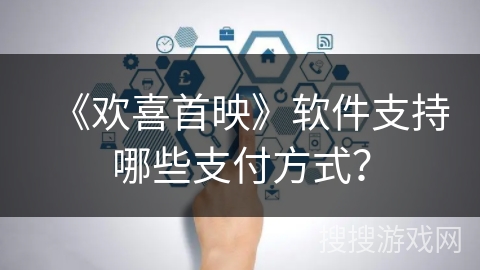 《欢喜首映》软件支持哪些支付方式？