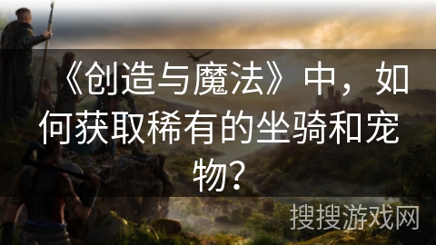 《创造与魔法》中，如何获取稀有的坐骑和宠物？