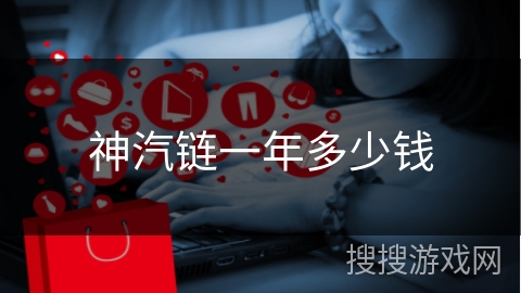 神汽链一年多少钱