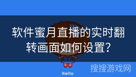 软件蜜月直播的实时翻转画面如何设置？