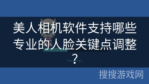 美人相机软件支持哪些专业的人脸关键点调整? 美人相机软件支持哪些专业的人脸关键点调整?