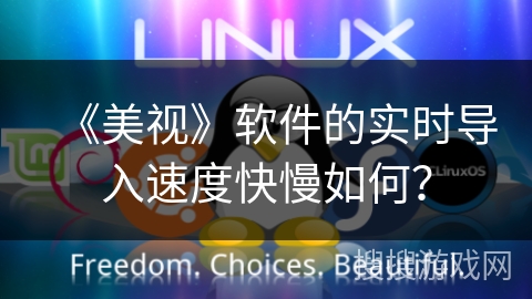 《美视》软件的实时导入速度快慢如何？