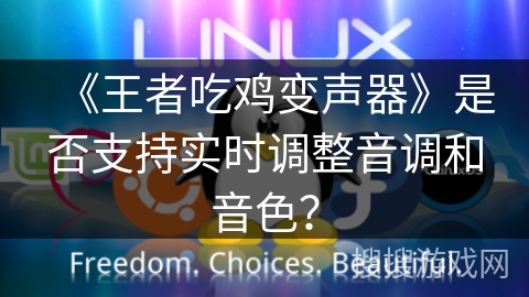 《王者吃鸡变声器》是否支持实时调整音调和音色? 《王者吃鸡变声器》是否支持实时调整音调和音色?