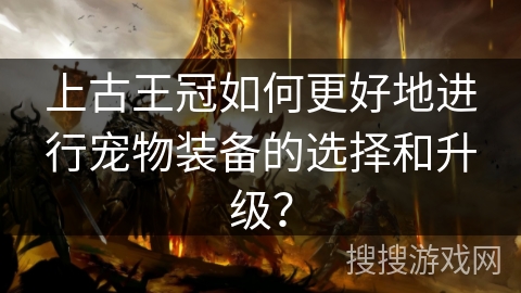 上古王冠如何更好地进行宠物装备的选择和升级？