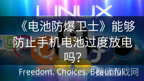 《电池防爆卫士》能够防止手机电池过度放电吗? 《电池防爆卫士》能够防止手机电池过度放电吗?