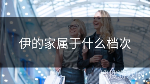 伊的家属于什么档次