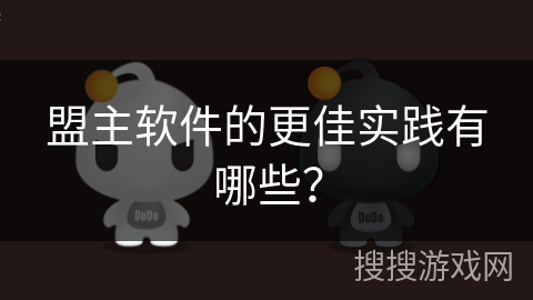 盟主软件的更佳实践有哪些？