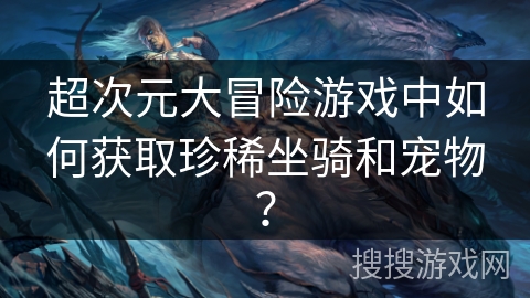 超次元大冒险游戏中如何获取珍稀坐骑和宠物？