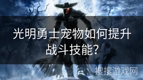 光明勇士宠物如何提升战斗技能？