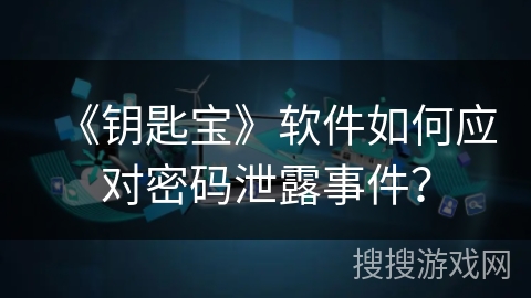《钥匙宝》软件如何应对密码泄露事件？