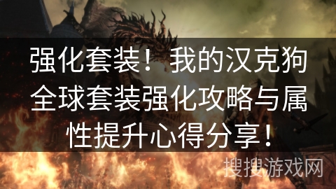 强化套装！我的汉克狗全球套装强化攻略与属性提升心得分享！